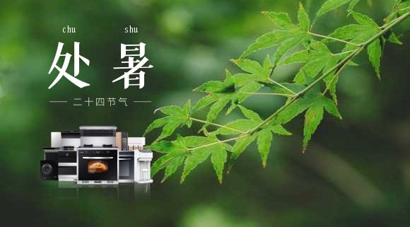 處暑 | 告別“蒸桑拿”，在廚房邂逅科恩集成灶